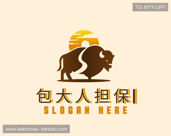 解读包大人担保平台